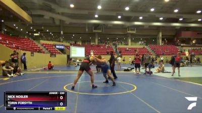 220 lbs 1st Place Match - Nick Nosler, IL vs Torin Forsyth, KS