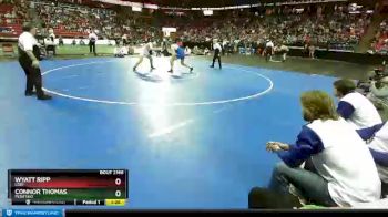 D2-220 lbs Semifinal - Wyatt Ripp, Lodi vs Connor Thomas, Peshtigo