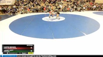 125 lbs Semifinal - Justin Brown, North Central College vs James Levy, Wartburg