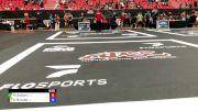 Bernardo Goulart vs Dinu Bucalet 2024 ADCC Sao Paulo Open