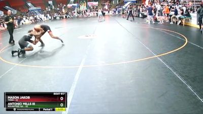 119 lbs Quarterfinal - Antonio Mills Iii, Roundtree WA vs Mason Jakob, TNWA