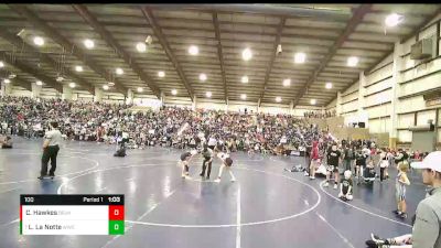 100 lbs Quarterfinal - Lilly La Notte, Wasatch Wrestling Club vs Chrissa Hawkes, Bear River Junior High Wrestling Club