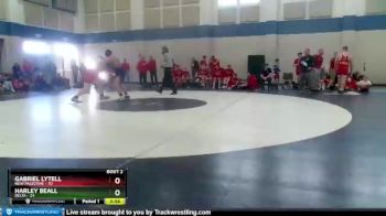 275 lbs Semis (4 Team) - Gabriel Lytell, New Palestine vs Harley Beall, Delta