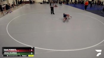 125 lbs Semis & 1st Wrestleback (8 Team) - Aidan Majerus, Z-M (Zumbrota/Mazeppa) vs Isaac Roberts, Marshall/Lakeview/RTR