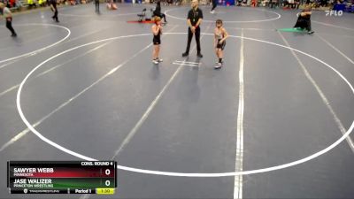 84 lbs Cons. Round 4 - Jase Walizer, Princeton Wrestling vs Sawyer Webb, Minnesota