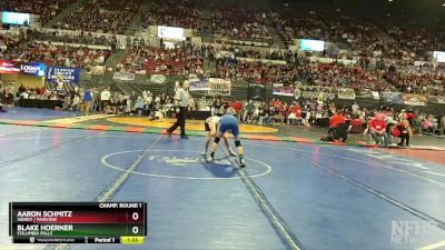 A - 132 lbs Quarterfinal - Blake Hoerner, Columbia Falls vs Aaron Schmitz, Sidney / Fairview