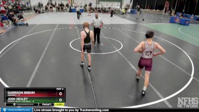 132 lbs Finals (8 Team) - Garrison Brehm, Waverly vs Josh Healey, Omaha Skutt Catholic