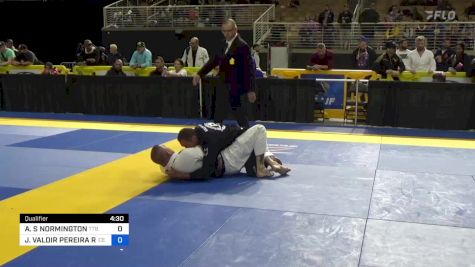ANDREW S NORMINGTON vs JOSÉ VALDIR PEREIRA REIS 2024 Pan Jiu Jitsu IBJJF Championship