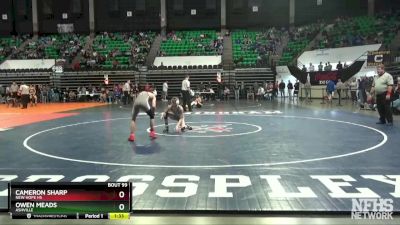 113 lbs Quarterfinal - Owen Meads, Ashville vs Cameron Sharp, New Hope HS