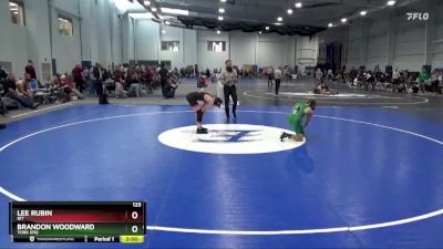 125 lbs Champ. Round 2 - Brandon Woodward, York (PA) vs Lee Rubin, RIT