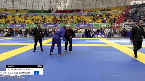 MARCOS AURÉLIO GOULART ALVES JUN vs JOAO CARLOS DAMACENO JUDITH 2024 Brasileiro Jiu-Jitsu IBJJF