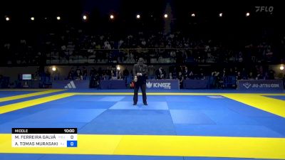 MICAEL FERREIRA GALVÂO vs ANDY TOMAS MURASAKI PEREIRA 2024 European Jiu-Jitsu IBJJF Championship