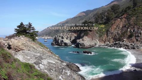 Replay: adam-harvester-test | Dec 5 @ 9 AM