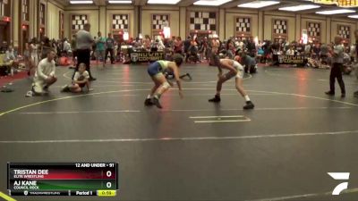 91 lbs Quarterfinal - Tristan Dee, Elite Wrestling vs Aj Kane, Council Rock