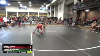 110 lbs Round 1 (4 Team) - Trinity Yates, MN Storm vs Isabella Schelker, Braided Brutes