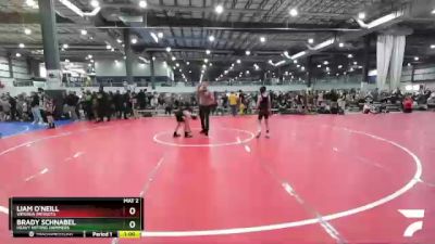 76 lbs Quarterfinal - Brady Schnabel, Heavy Hitting Hammers vs Liam O`Neill, Virginia Patriots