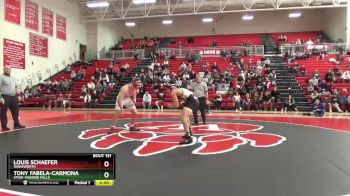 175 lbs 1st Place Match - Louis Schaefer, Wadsworth vs Tony Fabela-carmona, Stow-Munroe Falls