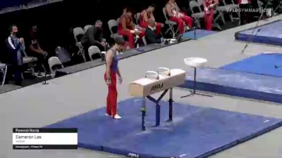 Cameron Lee - Pommel Horse, WOGA - 2021 US Championships