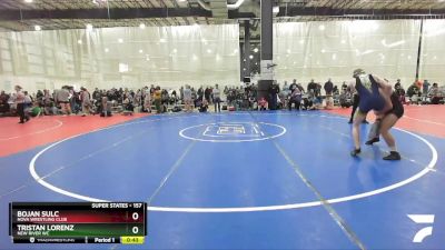 157 lbs Cons. Round 4 - Bojan Sulc, NOVA Wrestling Club vs Tristan Lorenz, New River WC