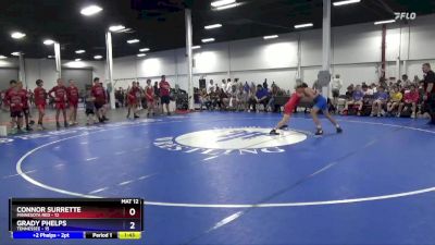 110 lbs Quarterfinals (8 Team) - Connor Surrette, Minnesota Red vs Grady Phelps, Tennessee