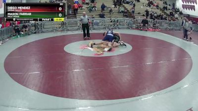 165 lbs Cons. Round 4 - Mason Farrar, Palo Verde vs Diego Mendez, Spring Valley