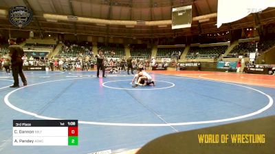 83 lbs 3rd Place - Cruz Gannon, Sebolt Wrestling Academy vs Arav Pandey, American Dream Wrestling Club