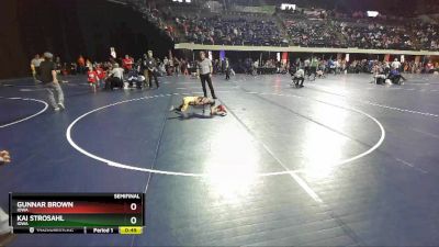 49 lbs Semifinal - Kai Strosahl, Iowa vs Gunnar Brown, Iowa