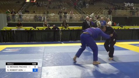 STEPHEN ROBERT HON vs DILOR MENDES PACHECO 2024 Pan Jiu Jitsu IBJJF Championship
