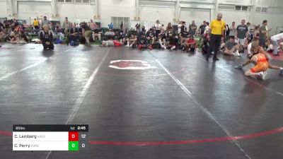 85 lbs Final - Cole Lemberg, Ares W.C. (MI) vs Cole Perry, Pursuit