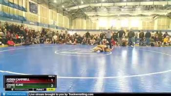 110 lbs Semis (4 Team) - Ayden Campbell, Portage vs Chase Kline, Avon