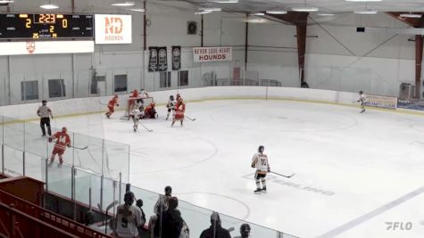 Replay: Home - 2024 Bears U18 AAA (G) vs ND Hounds U18 (G) | Mar 8 @ 7 PM