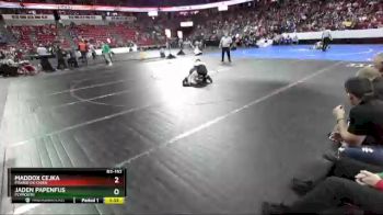 D2-152 lbs Champ. Round 1 - Maddox Cejka, Prairie Du Chien vs Jaden Papenfus, Plymouth
