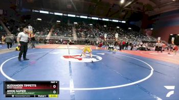 2A-106 lbs Cons. Round 1 - Alexander Tippetts, Rocky Mountain vs Amon Napier, Lingle-Ft. Laramie/Southeast