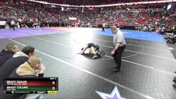D2-106 lbs 3rd Place Match - Brady Collins, East Troy vs Brady Gesler, Chetek-Wey./Pr. Farm