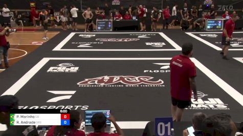 Pedro Marinho vs Romualdo Andrade 2024 ADCC South American Trials 2