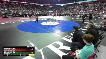 D2-132 lbs Semifinal - Colton Hush, Baldwin-Woodville vs Ethan Immel, Kewaskum