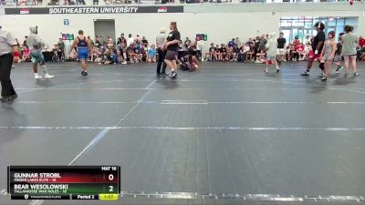 96 lbs Round 3 (4 Team) - Bear Wesolowski, Tallahassee War Noles vs Gunnar Strobl, Finger Lakes Elite