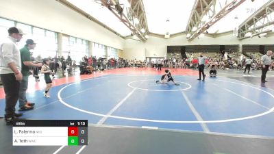 49 lbs Rr Rnd 1 - Levi Palermo, New England Gold vs Asa Toth, Warrior WC