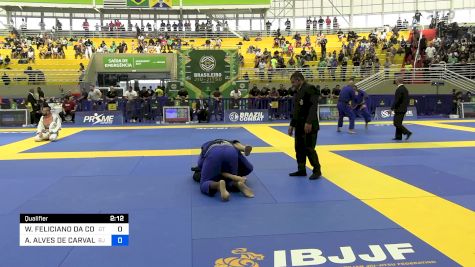 WAGNER FELICIANO DA COSTA vs ALEXANDRE ALVES DE CARVALHO 2024 Brasileiro Jiu-Jitsu IBJJF