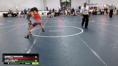 105 lbs Cons. Round 4 - Garrett Ferguson, Well Trained vs Cash Cailliau, Tampa Bay Tigers