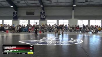 197 lbs Quarterfinal - Mason Custer, Trine University vs Dylan Wellbaum, Adrian College