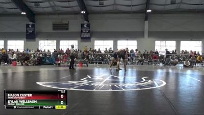 197 lbs Quarterfinal - Mason Custer, Trine University vs Dylan Wellbaum, Adrian College