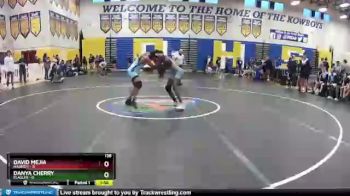 138 lbs Quarterfinals (8 Team) - Danya Cherry, Flagler vs David Mejia, Hagerty