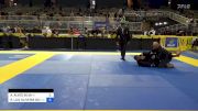 ARIEL ALVES SILVA vs RICARDO LUIZ OLIVEIRA DOS SANTOS 2024 Pan Jiu Jitsu IBJJF Championship