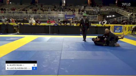 ARIEL ALVES SILVA vs RICARDO LUIZ OLIVEIRA DOS SANTOS 2024 Pan Jiu Jitsu IBJJF Championship