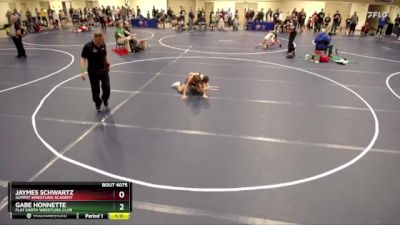 86 lbs Champ. Round 2 - Jaymes Schwartz, Summit Wrestling Academy vs Gabe Honnette, Flat Earth Wrestling Club