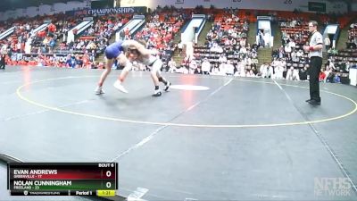 132 lbs Semifinals (8 Team) - Evan Andrews, Greenville vs Nolan Cunningham, Freeland