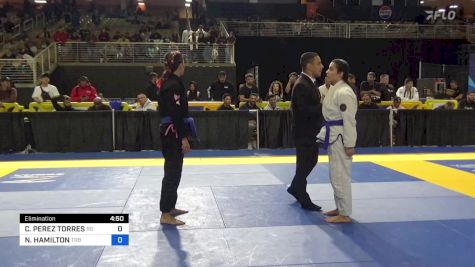 CARINY PEREZ TORRES vs NATALIE HAMILTON 2024 Pan Jiu Jitsu IBJJF Championship