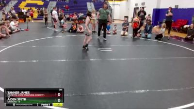 70 lbs Round 2 (6 Team) - Tanner James, Palmetto State Wrestling Academy vs Aiden Smith, Grizzlies