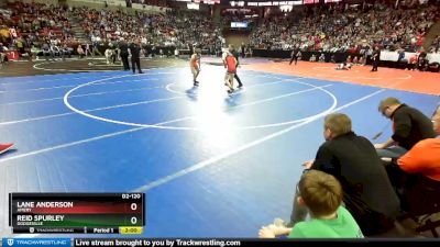 D2-120 lbs Semifinal - Reid Spurley, Dodgeville vs Lane Anderson, Amery